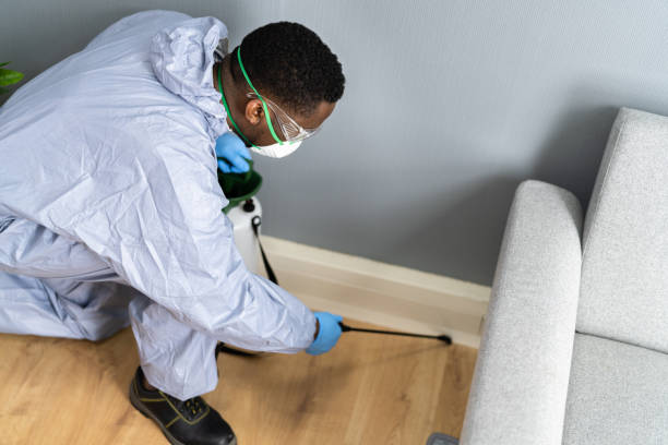 Best Real Estate Pest Inspections  in Fairbury, IL